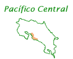 Pacfico Central