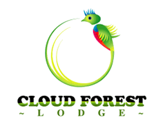 Cloud Forest Lodge, Monteverde