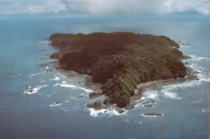 Caño Island has an evergreen forest with very tall trees.